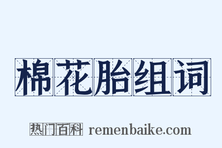 棉花胎组词是什么意思的图片